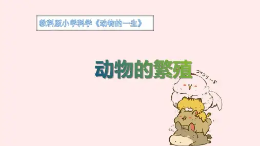 小学教科版三年级下册科学动物的繁殖课件