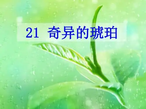 语文S版六年级上册《五单元  21 奇异的琥珀》优质课课件_15