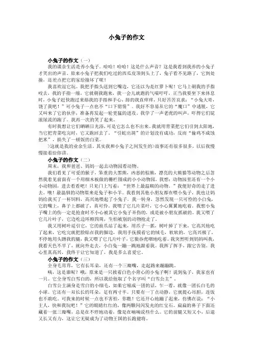 小兔子的作文