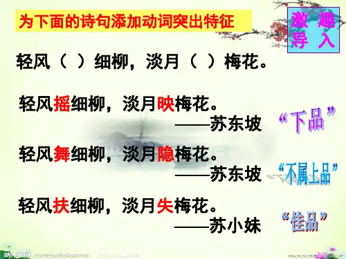 《咬文嚼字》教学课件(上课用)