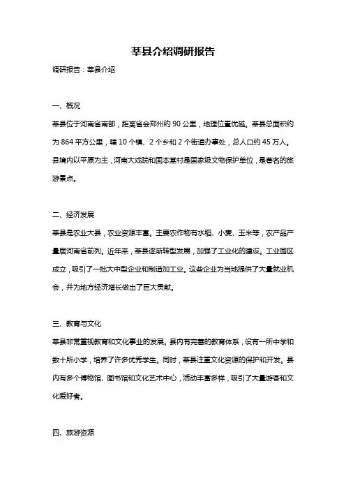莘县介绍调研报告