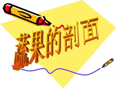 蔬果的剖面