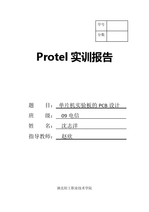 Protel实训报告