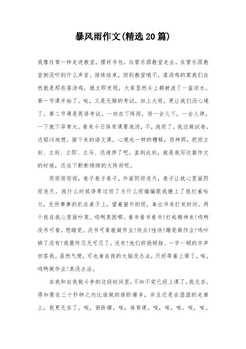 暴风雨作文(精选20篇)