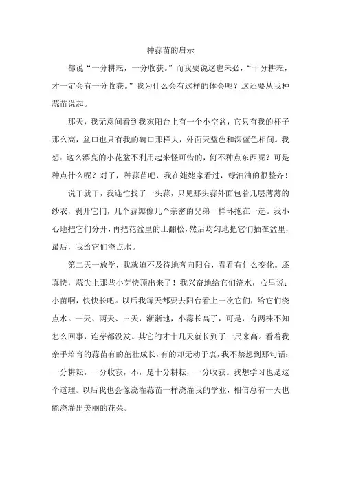 种蒜苗的启示