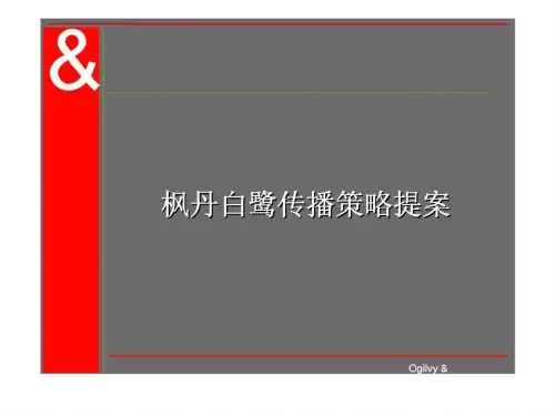 南海枫丹白鹭传播策略提案