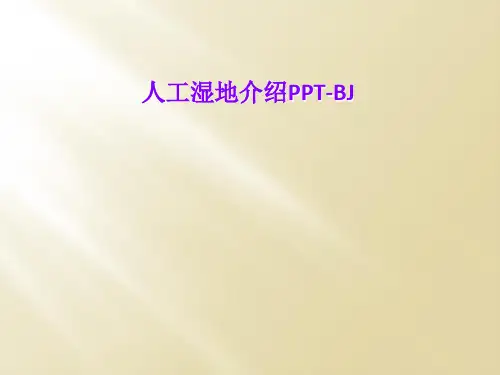 人工湿地介绍PPT-BJ