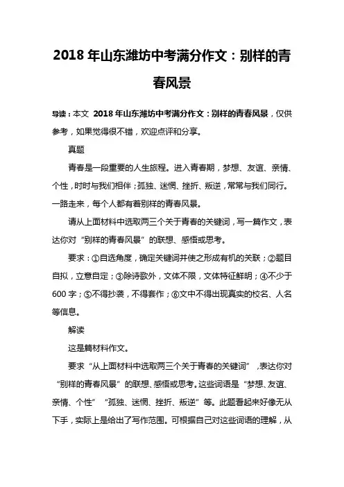 山东潍坊中考满分作文：别样的青春风景.docx