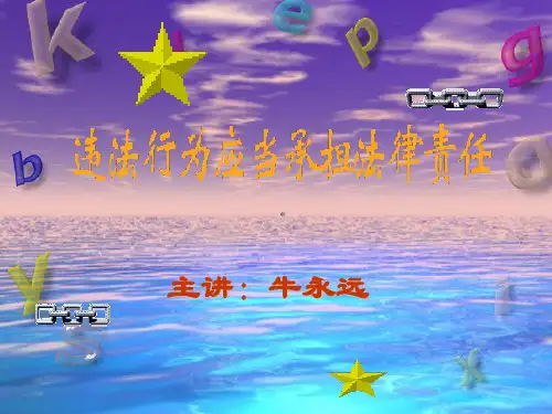 违法行为应当承担法律责任最新版