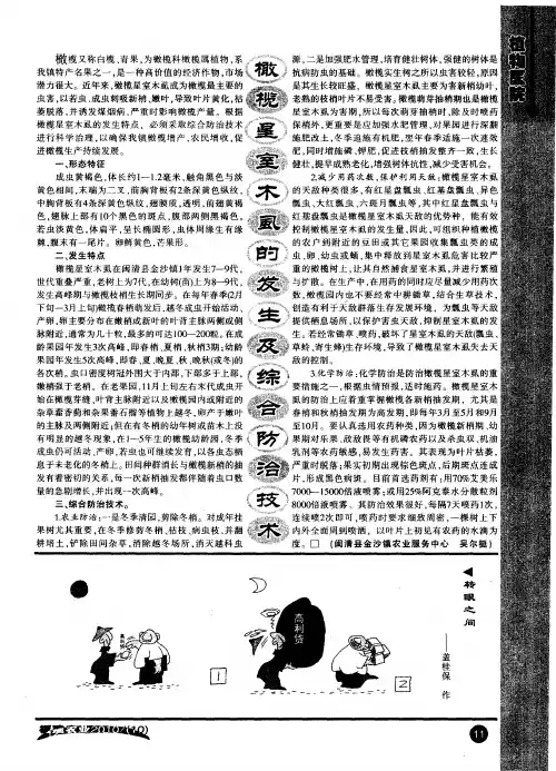 橄榄星室木虱的发生及综合防治技术