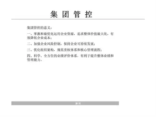 《集团管控培训讲义》PPT课件