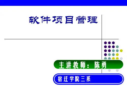 精通软件项目管理第一章