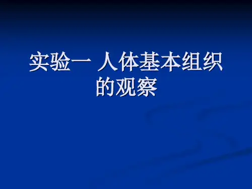 人体解剖生理学实验 人体基本组织的观察