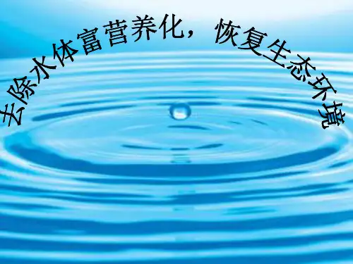 水体富营养化的评价指标与治理课件