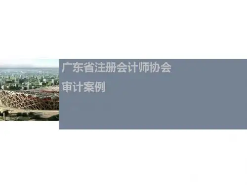 广东省注册会计师协会审计案例
