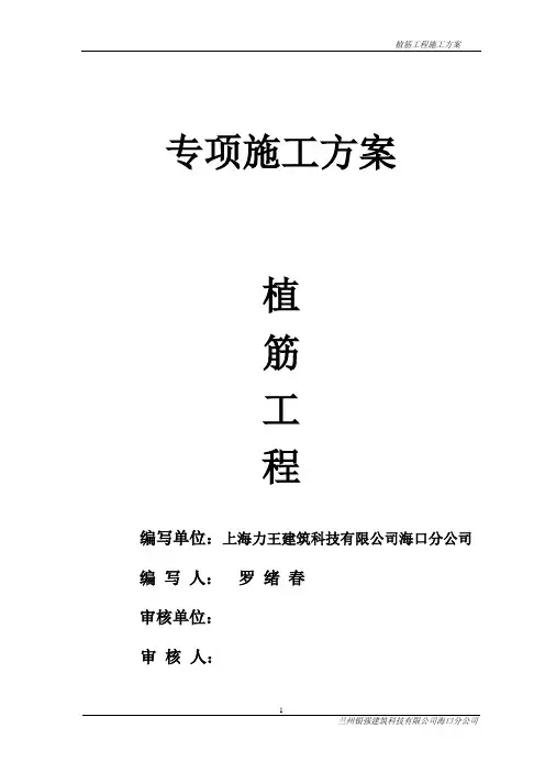 植筋施工方案 (2)