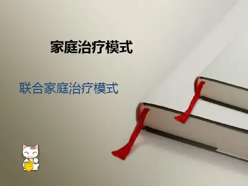 个案工作—联合家庭治疗模式
