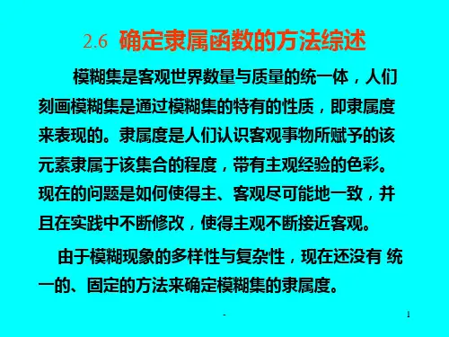 西南科技大学模糊数学第二章-模糊模式识别修第六节PPT课件