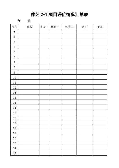 体艺2+1项目评价汇总表