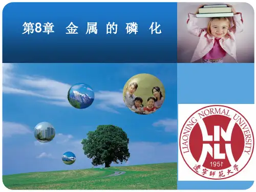 第8章 金属的磷化