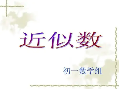 《近似数》2