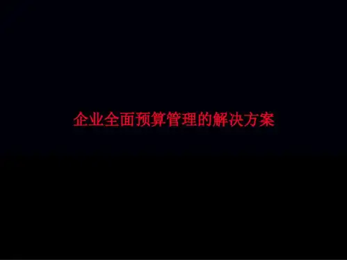 企业全面预算管理的解决方案精品