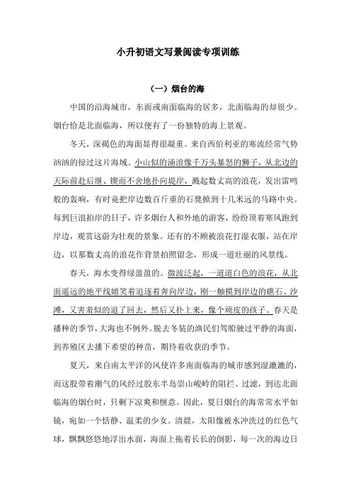 小升初语文试题--写景阅读专项训练题(含答案)人教统编版
