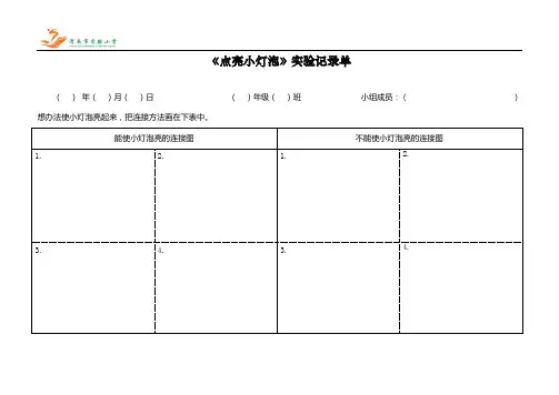 《点亮小灯泡》实验记录单
