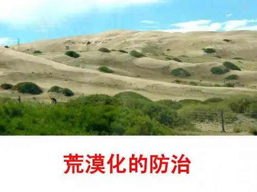 荒漠化的防治