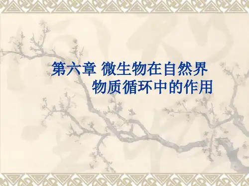 第六章在物质循环中的作用案例