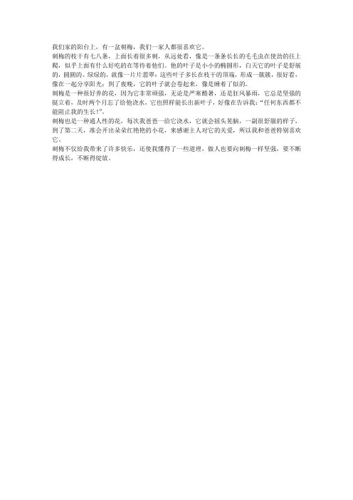 刺梅