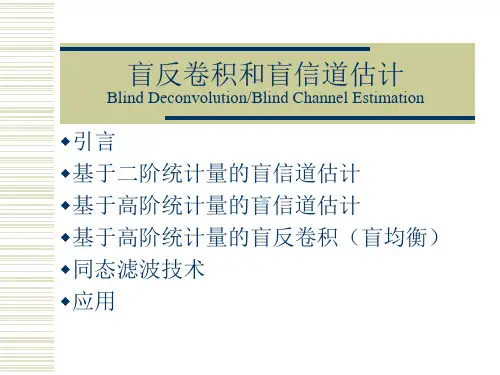 盲信号处理ch21