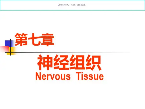 神经系统的组成