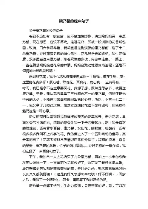 康乃馨的经典句子