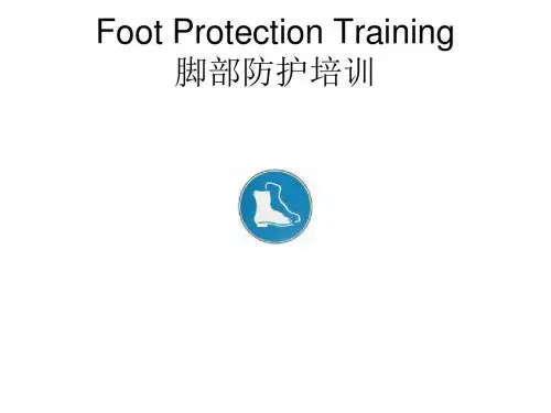 脚部防护培训Foot protection