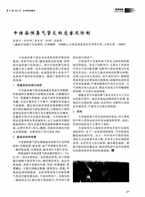 牛传染性鼻气管炎的危害及防制