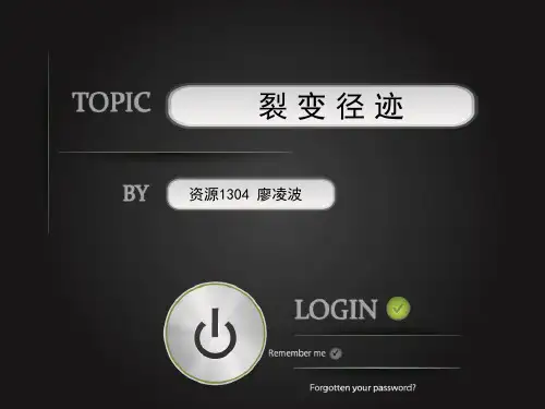 裂变径迹