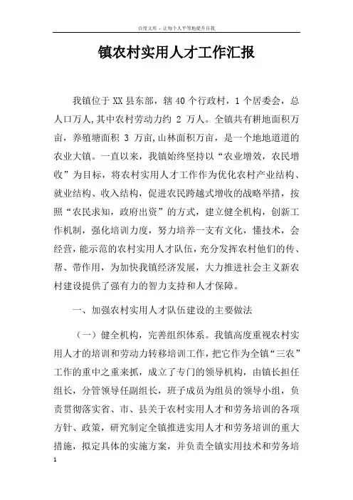 镇农村实用人才工作汇报