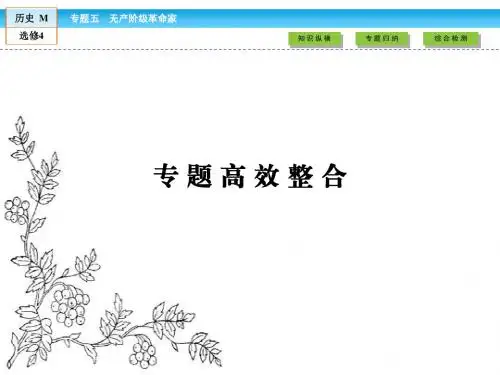 2016-2017学年(人民版)高中历史选修4课件：专题高效整合5