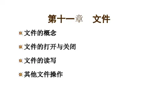 Fortran文件