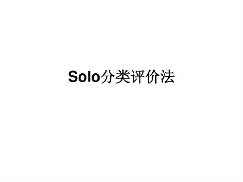 历史 solo试题解法共24页