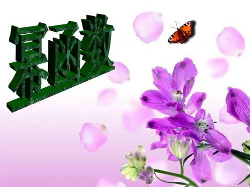 幂函数