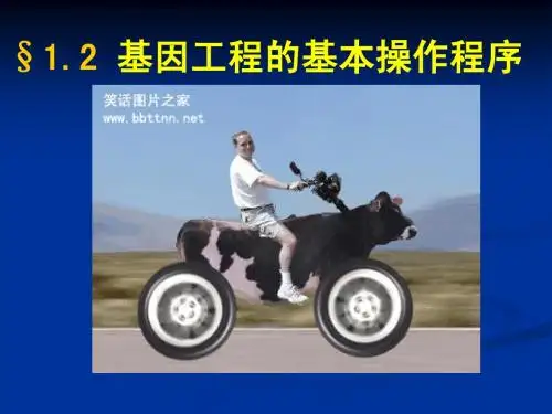 -基因工程的基本操作程序