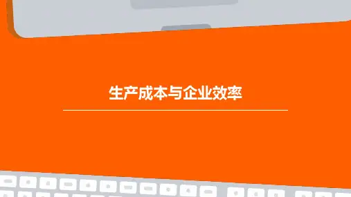 生产成本与企业效率