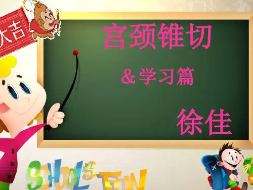 宫颈锥切