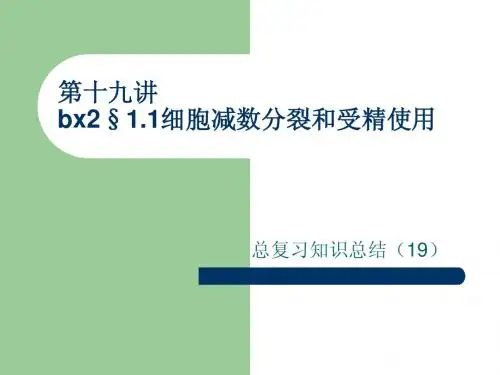第十九讲+bx2§1.1—2细胞的减数分裂