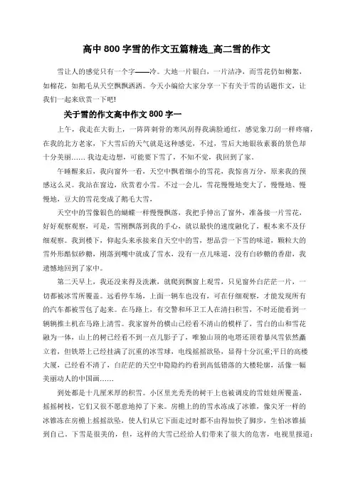 高中800字雪的作文五篇精选_高二雪的作文