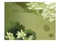 哲学主观题解题技巧