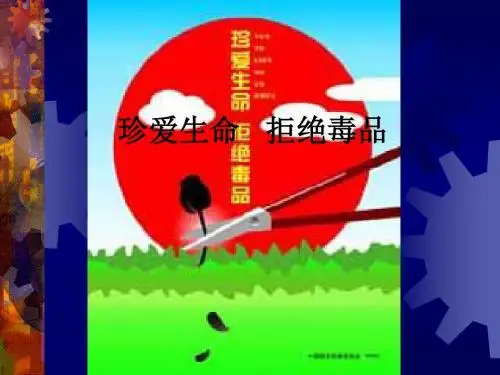 主题班会《珍爱生命  拒绝毒品》PPT课件