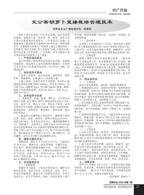 无公害胡萝卜夏播栽培管理技术